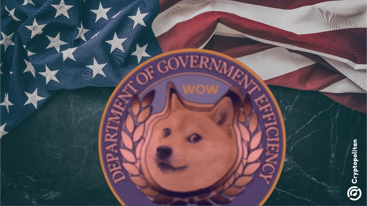 美国监管机构支持Elon Musk的D.O.G.E，但不赞同其侵略性做法